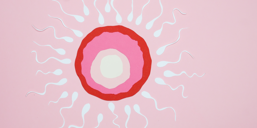 fertilité hystéro